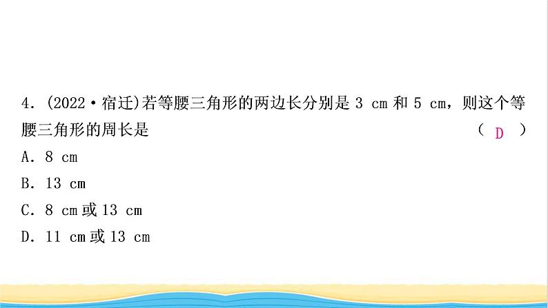 中考数学复习第四章三角形第三节等腰三角形与直角三角形作业课件05