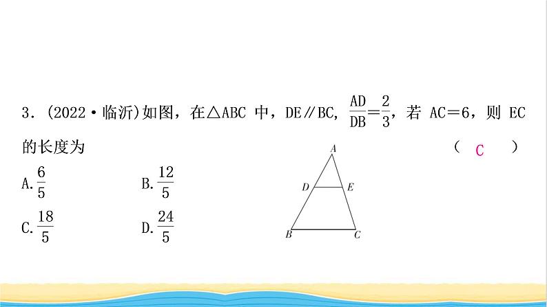 中考数学复习第四章三角形第五节图形的相似作业课件第4页