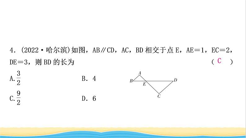 中考数学复习第四章三角形第五节图形的相似作业课件第5页