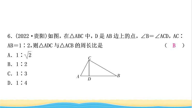 中考数学复习第四章三角形第五节图形的相似作业课件第7页