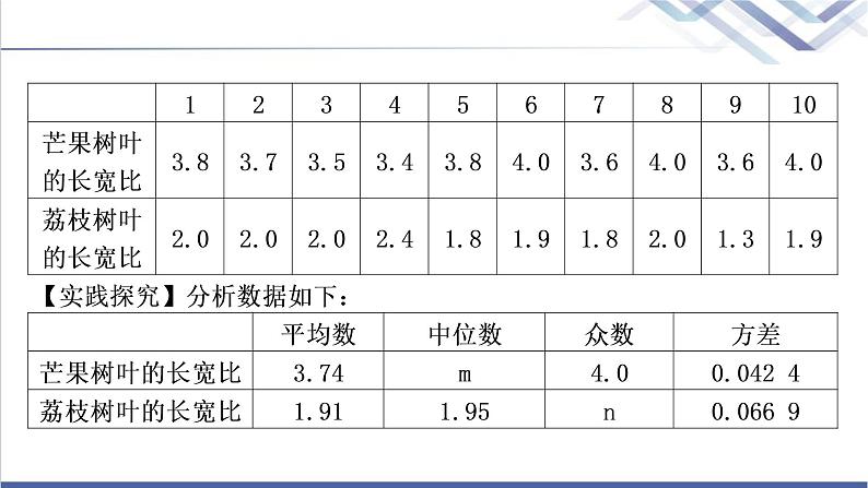 中考数学复习专项训练九综合与实践作业课件07