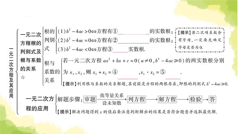 中考数学复习第二章方程(组)与不等式(组)第二节一元二次方程及其应用教学课件05