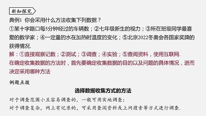 浙教版七年级数学下册课件 6.1 数据的收集与整理第5页