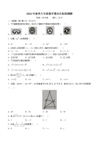 海南省省直辖县级行政单位临高县2022-2023学年八年级上学期期末数学试题(含答案)