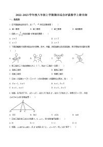 湖北省荆门市东宝区2022-2023学年八年级上学期数学期末学业水平测试(含答案)