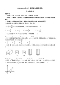 河南省平顶山市鲁山县2022-2023学年九年级上学期期末数学试题(含答案)