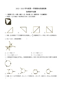 山东省烟台市蓬莱区2022-2023学年九年级上学期期末数学试题(含答案)