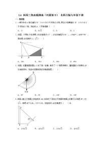 北师大版九年级下册6 利用三角函数测高复习练习题