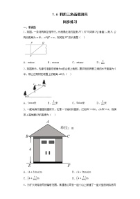 初中数学北师大版九年级下册6 利用三角函数测高当堂检测题