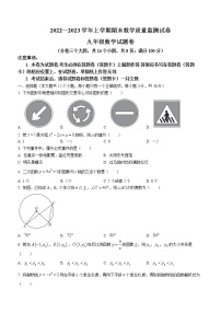 云南省大理白族自治州云龙县2022-2023学年九年级上学期期末数学试题（含答案）