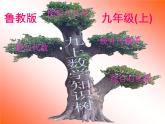 研课标数学九上知识树课件PPT