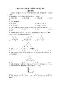 河南省洛阳市嵩县2022-2023学年八年级上学期期末数学试题