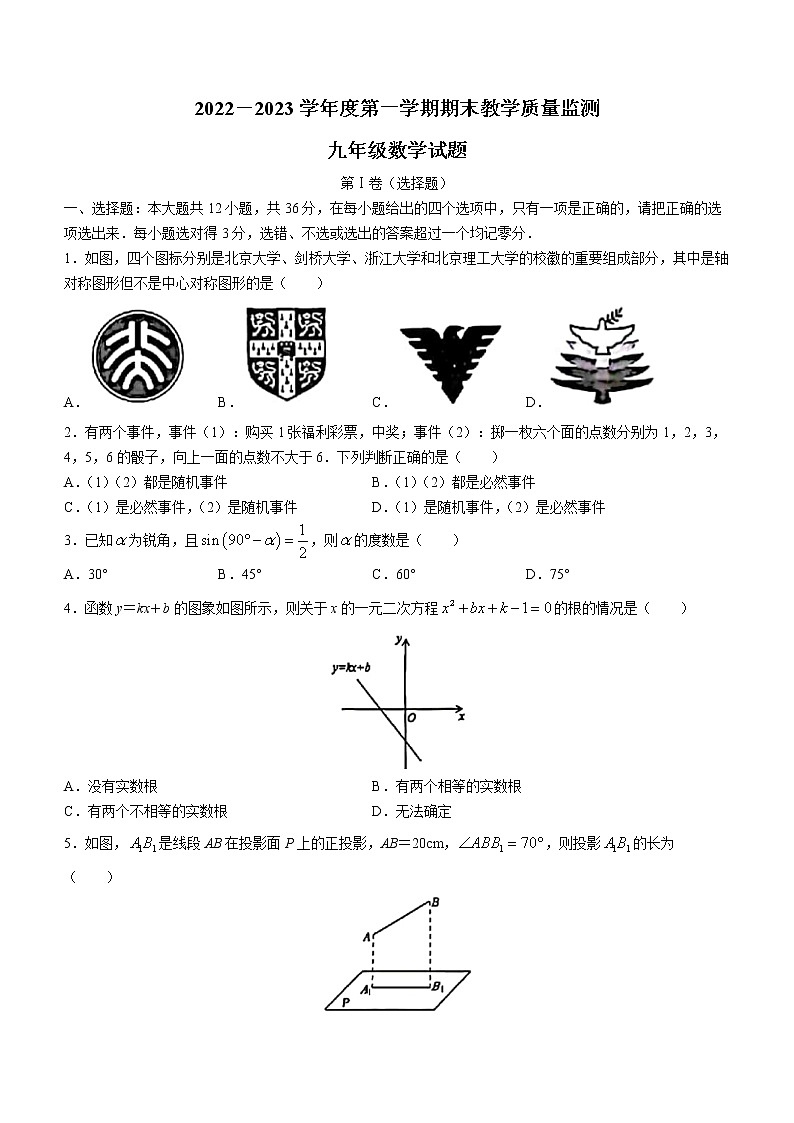 山东省滨州市阳信县2022-2023学年九年级上学期期末数学试题(含答案)第1页