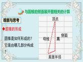 华师版数学九年级下册 27.3 第2课时 圆锥的侧面积和全面积 课件