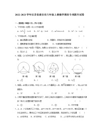 2022-2023学年江苏省淮安市八年级上册数学期末专项提升试卷（无答案）