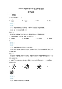 2022年湖北省武汉市中考数学真题（教师版）