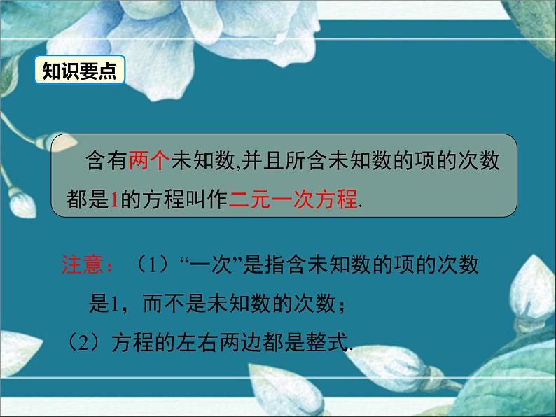 冀教版数学七年级下册 6.1 二元一次方程组 课件07