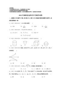 2023年湖南省岳阳市中考数学模拟试题及答案