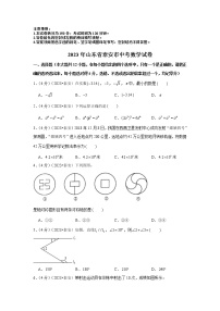 2023年山东省泰安市中考数学模拟试题及答案