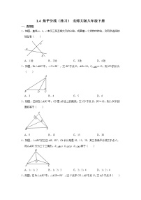 数学八年级下册第一章 三角形的证明4 角平分线课时训练