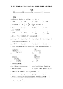 黑龙江省讷河市2022-2023学年七年级上学期期末考试数学试题（含详细答案）