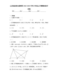 江苏省南京市建邺区2022-2023学年八年级上学期期末数学试题（含详细答案）