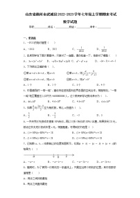 山东省德州市武城县2022-2023学年七年级上学期期末考试数学试题（含详细答案）