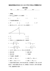 湖南省常德市汉寿县2022-2023学年八年级上学期期末考试数学试题（含答案）