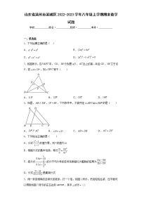 山东省滨州市滨城区2022-2023学年八年级上学期期末数学试题（含答案）