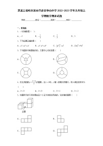 黑龙江省哈尔滨市巴彦县华山中学2022-2023学年九年级上学期数学期末试题（含答案）