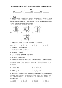 山东省临沂市费县2022-2023学年九年级上学期期末数学试题（含详细答案）