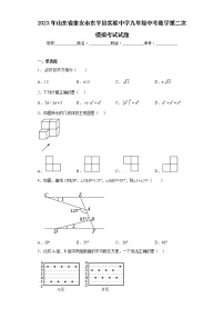 2023年山东省泰安市东平县实验中学九年级中考数学第二次模拟考试试（含详细答案）