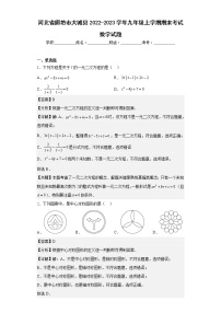 河北省廊坊市大城县2022-2023学年九年级上学期期末考试数学试题（含答案）