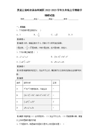 黑龙江省哈尔滨市阿城区2022-2023学年九年级上学期数学调研试题（含答案）