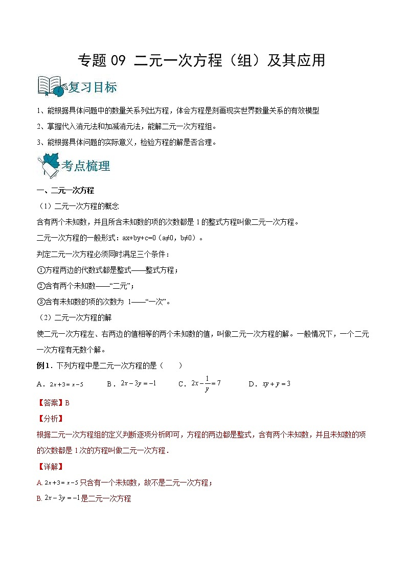 中考数学一轮复习09二元一次方程（组）及其应用讲义（教师版）第1页