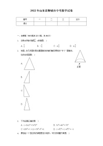 2022年山东省聊城市中考数学试卷（word、含解析）