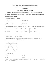 福建省宁德市霞浦县2022-2023学年九年级上学期阶段性训练数学试卷（含答案）