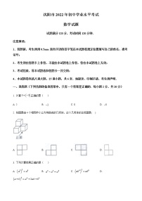 2022年辽宁省沈阳市中考数学真题（word版，含答案）