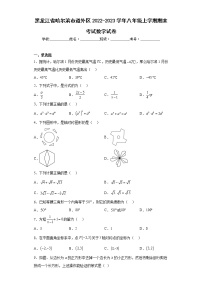 黑龙江省哈尔滨市道外区2022-2023学年八年级上学期期末考试数学试卷（含详细答案）