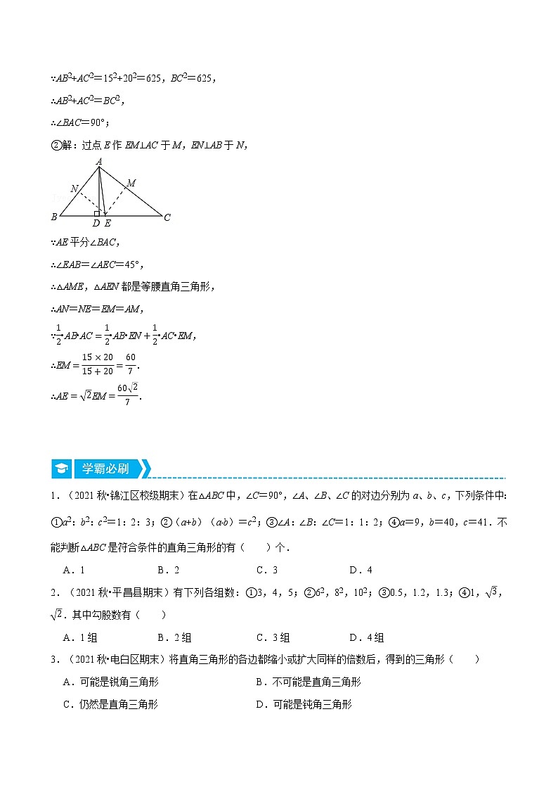 专题17.3 勾股定理的逆定理（重点题专项讲练）（人教版）（原卷版）第2页