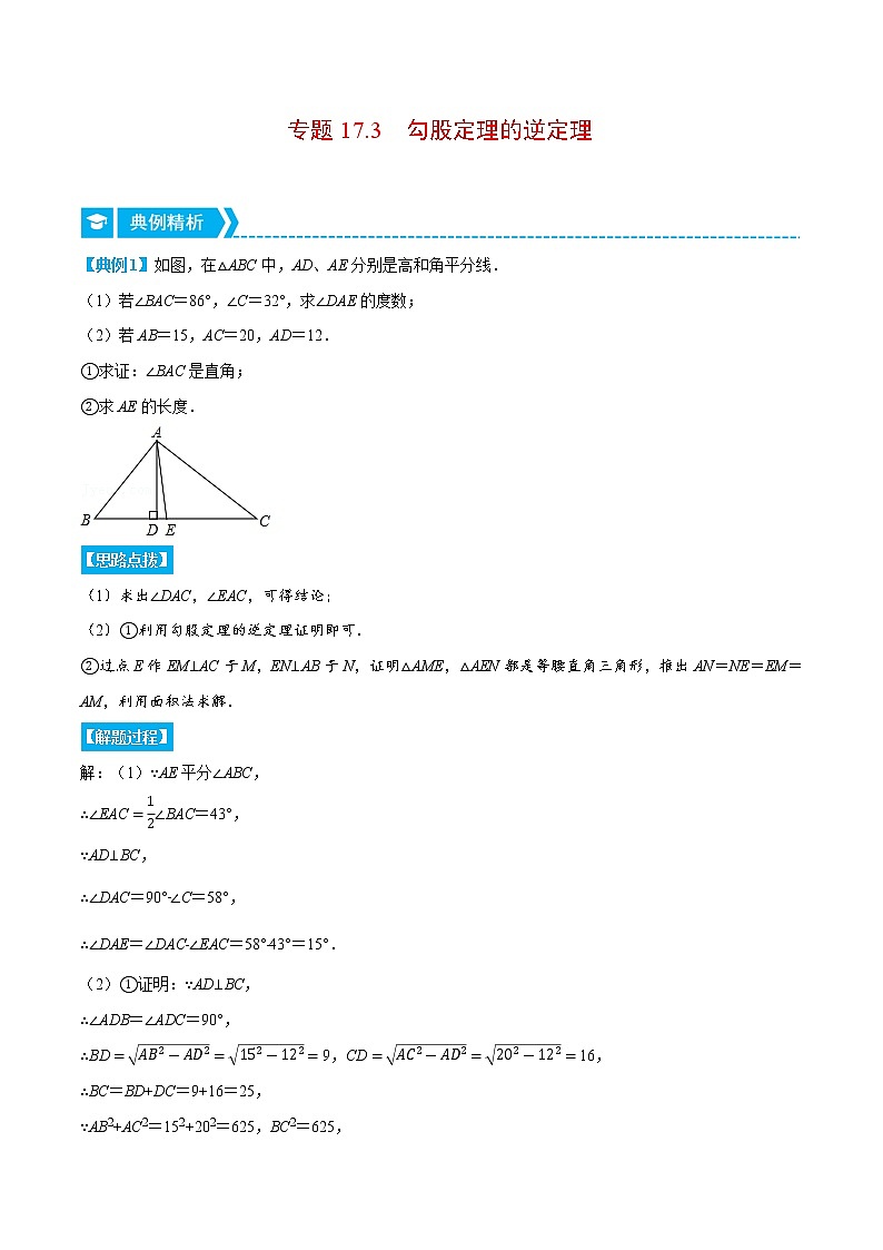专题17.3 勾股定理的逆定理（重点题专项讲练）（人教版）（解析版）第1页
