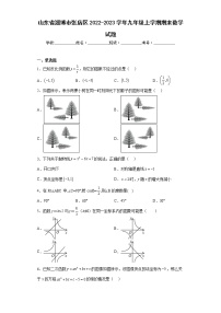 山东省淄博市张店区2022-2023学年九年级上学期期末数学试题（含答案）