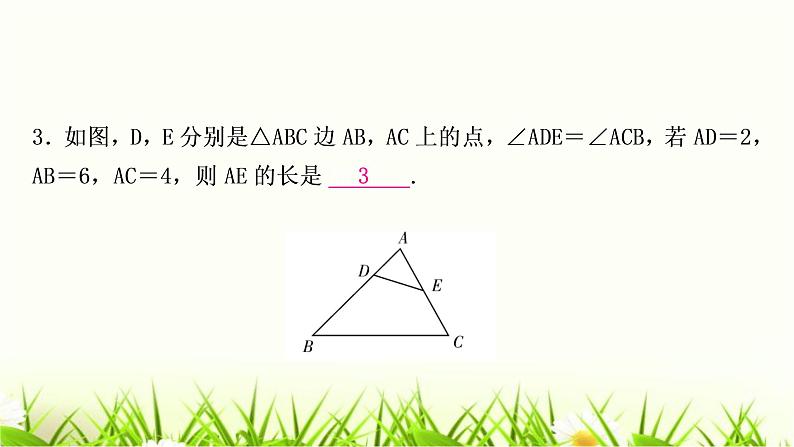中考数学复习方法技巧突破(五)相似三角形之五大模型作业课件第4页