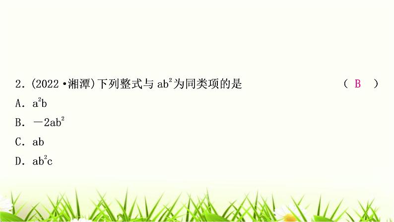 中考数学复习第一章数与式第三节代数式、整式与因式分解作业课件第3页