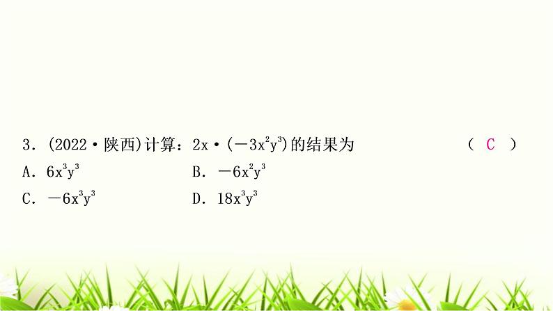 中考数学复习第一章数与式第三节代数式、整式与因式分解作业课件第4页