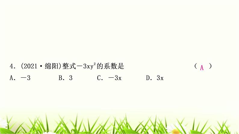 中考数学复习第一章数与式第三节代数式、整式与因式分解作业课件第5页