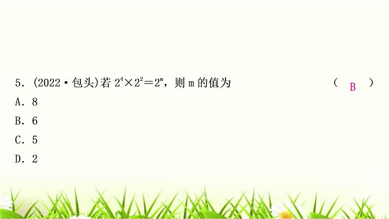 中考数学复习第一章数与式第三节代数式、整式与因式分解作业课件第6页