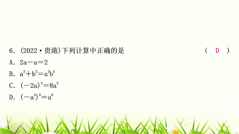 中考数学复习第一章数与式第三节代数式、整式与因式分解作业课件第7页