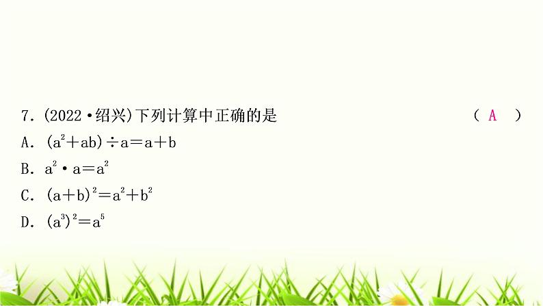 中考数学复习第一章数与式第三节代数式、整式与因式分解作业课件第8页