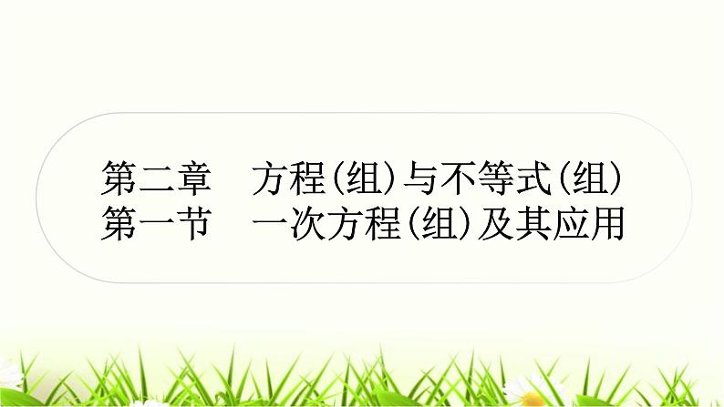 中考数学复习第二章方程(组)与不等式(组)第一节一次方程(组)及其应用作业课件01